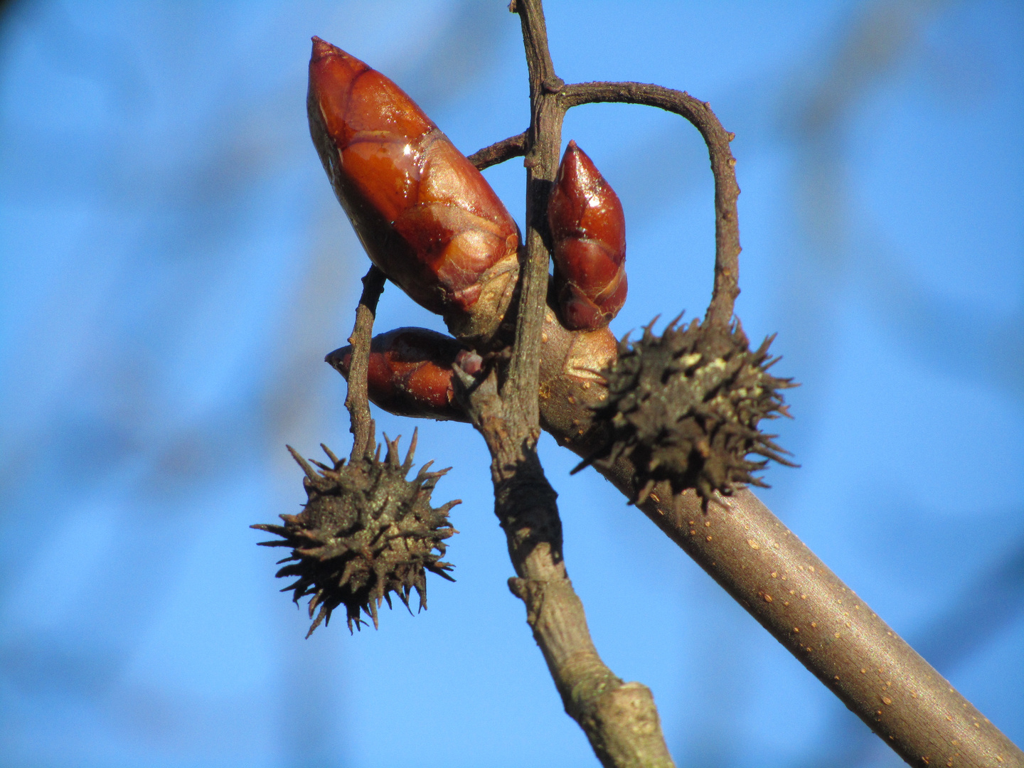 Ewiger Kreislauf der Natur