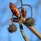 Ewiger Kreislauf der Natur