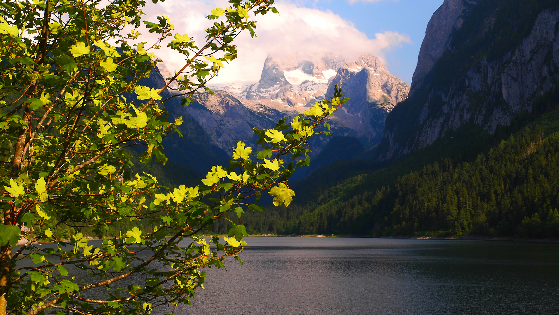 Ewiges Eis, Dachstein West