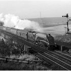 Ex LNER Class A4 60019 "Bittern" at Rely Mill