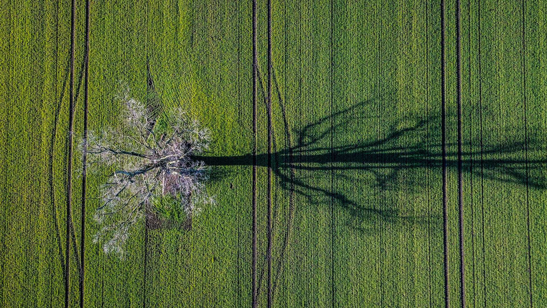 Exakt, symmetrisch,natürlich - alles im grünen Bereich!