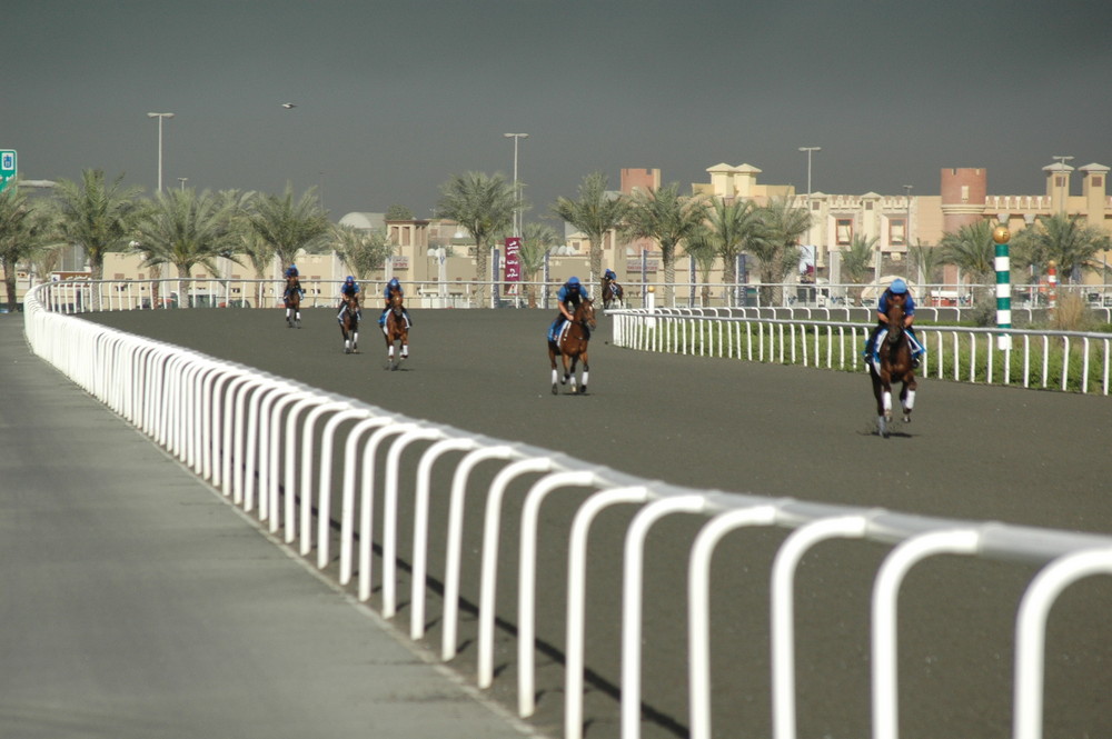 exclusives Morgentraining bei Godolphin in Dubai