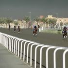 exclusives Morgentraining bei Godolphin in Dubai