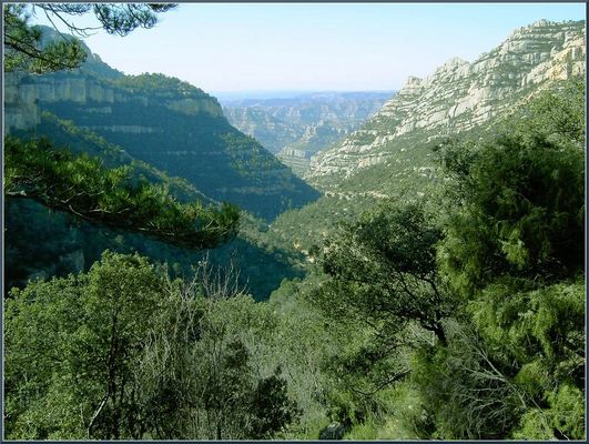 Excursió a Tarragona