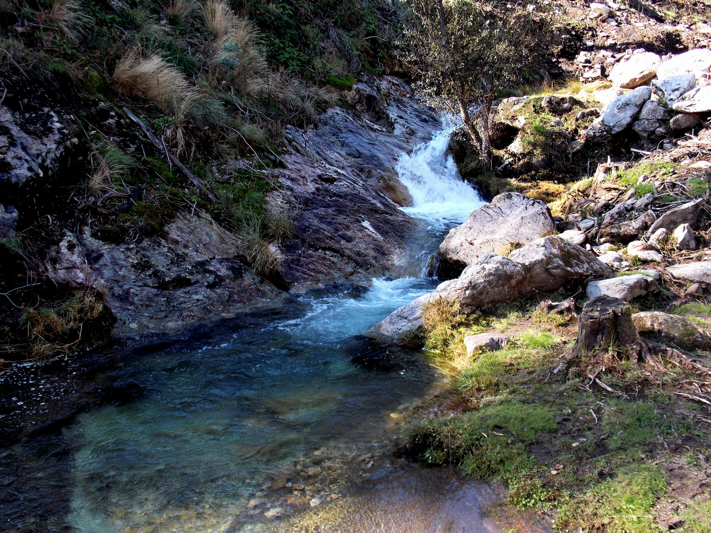 Excursión