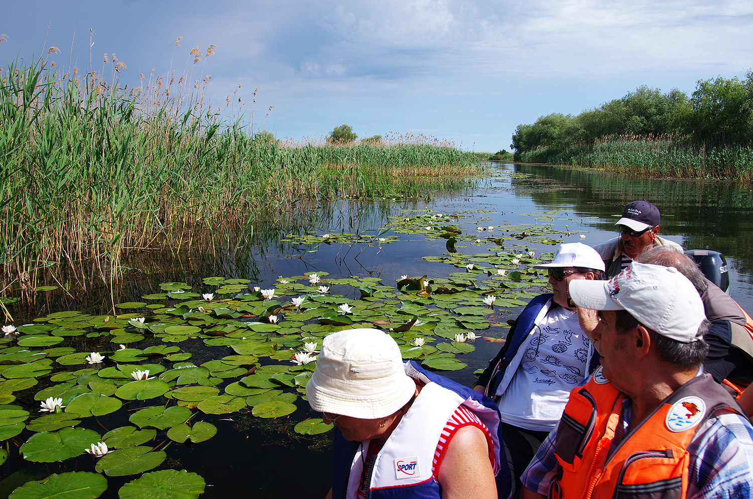 Excursion dans le Delta du Danube