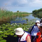 Excursion dans le Delta du Danube