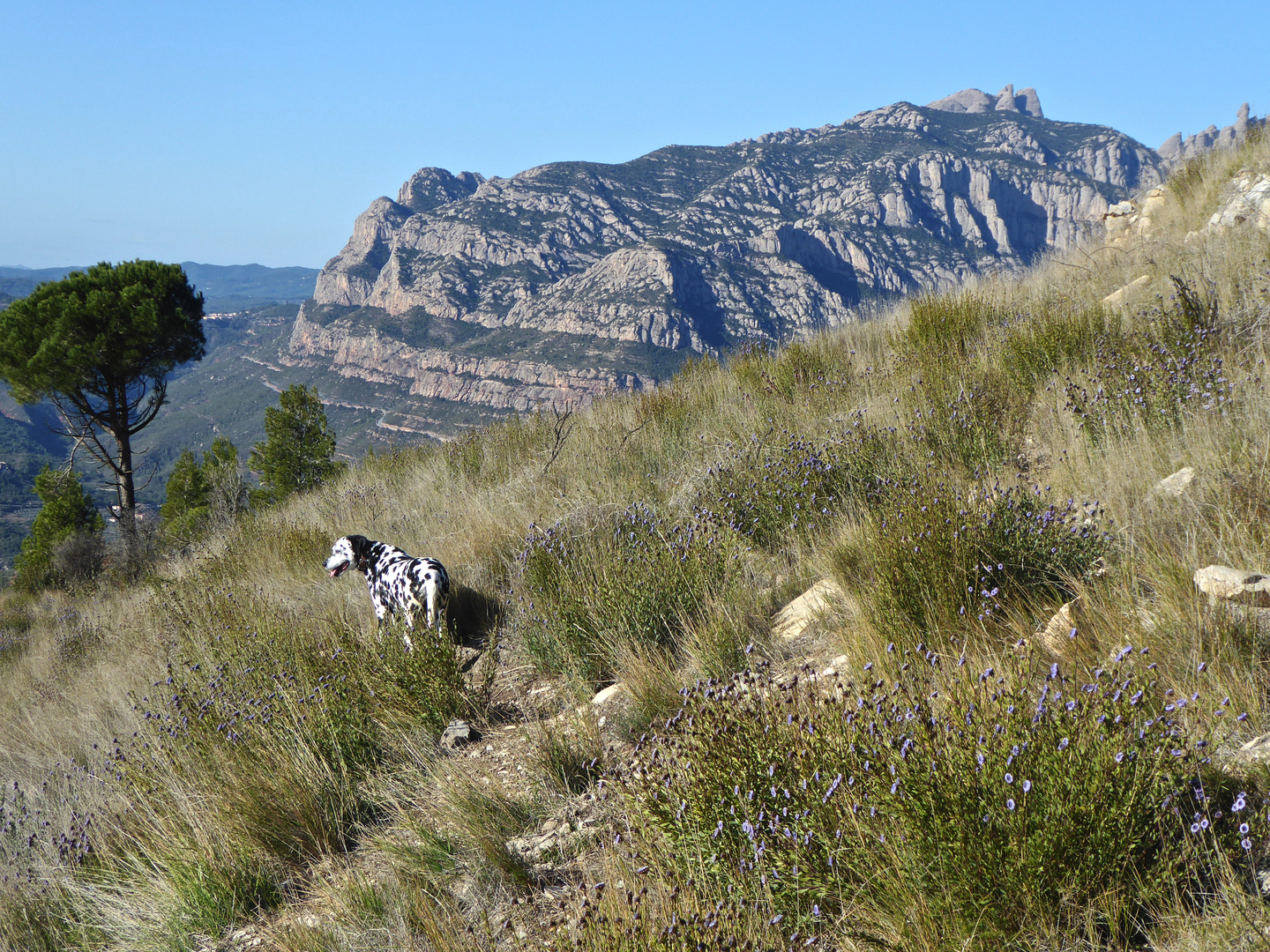 Excursión matutina