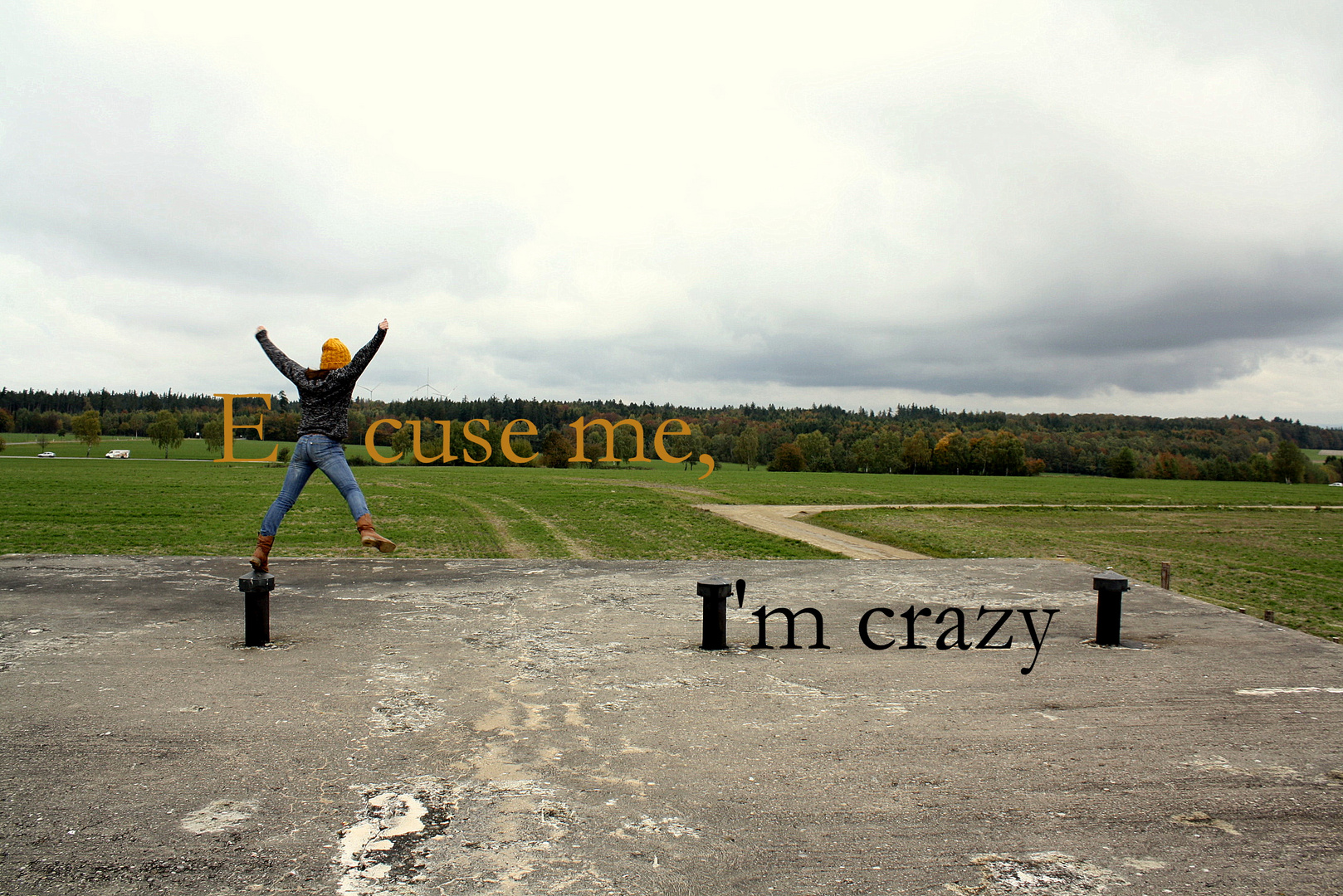 Excuse me, I'm crazy