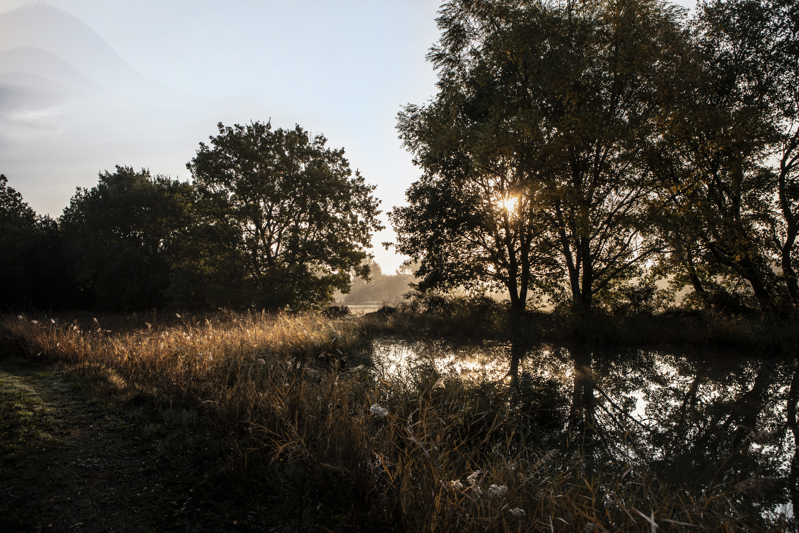 Exercices photo2021n°36 :levers de soleil