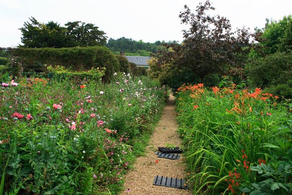 Exercicesphoto 2025 n°12 Jardins et potagers