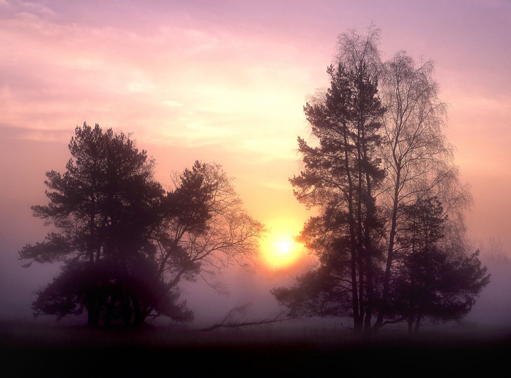 Exerzierplatz-Nebel-Morgen