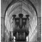 Exeter Cathedral, Organ