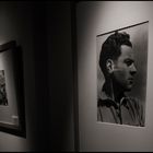 Exhibition of photographs by Tina Modotti
