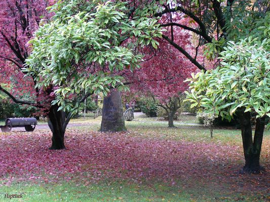 Exhultante primavera