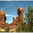 Exibitionist im Arches NP