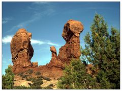 Exibitionist im Arches NP