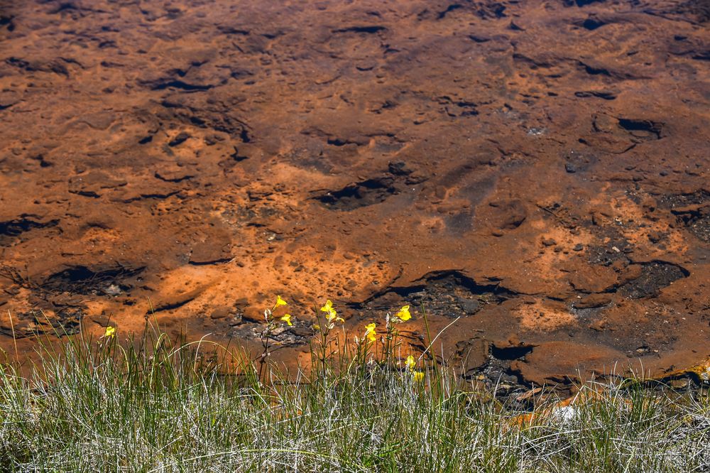 Existenz am Rand der Mineralienmatsche     DSC_4035-2