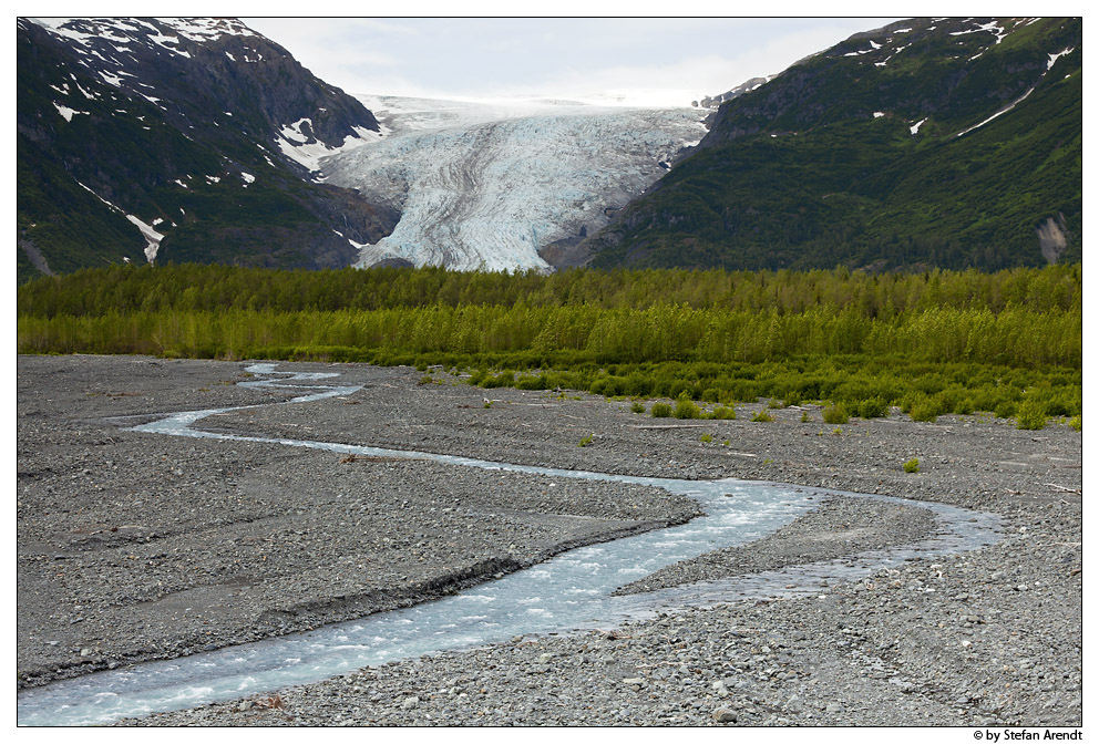 Exit Glacier