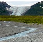 Exit Glacier