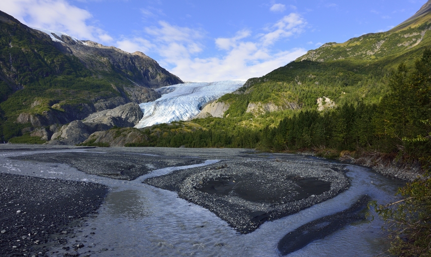 Exit Glacier in Kenai National Park / Alaska