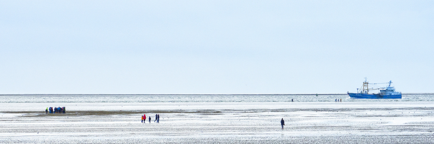 Exkursion im Wattenmeer