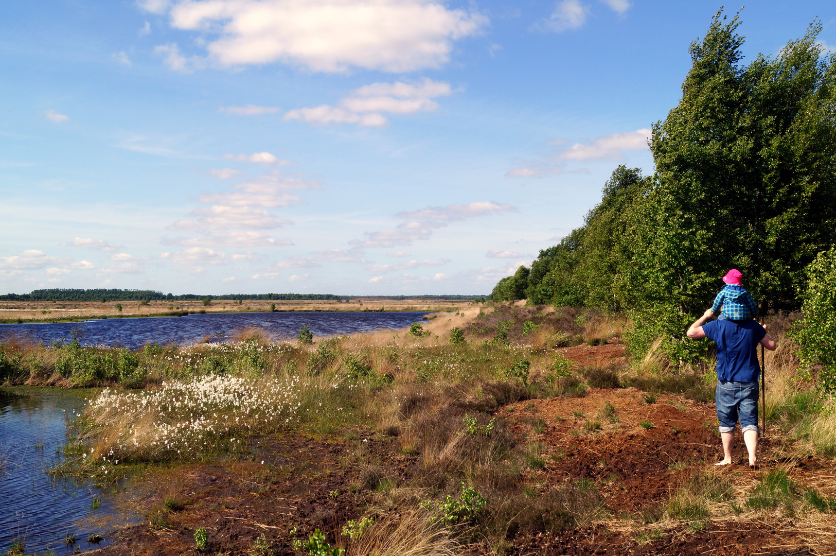 Exkursion ins nahegelegene Hochmoor