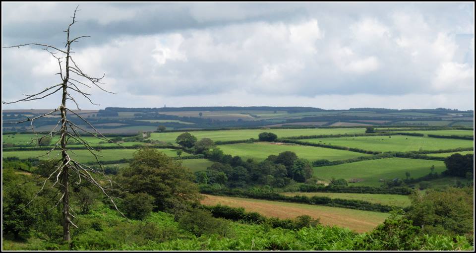 Exmoor