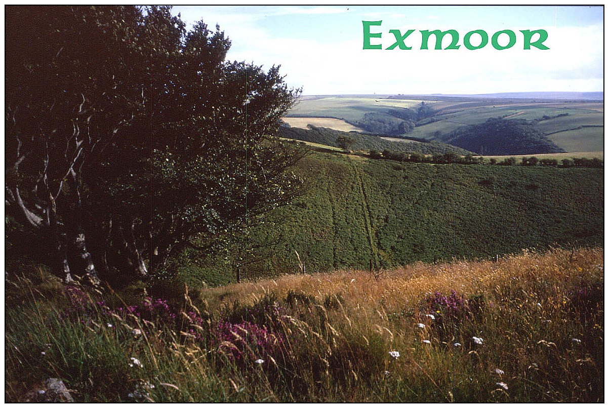 Exmoor