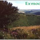 Exmoor