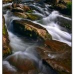 Exmoor National Park - East River Lyn