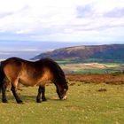 Exmoor National park