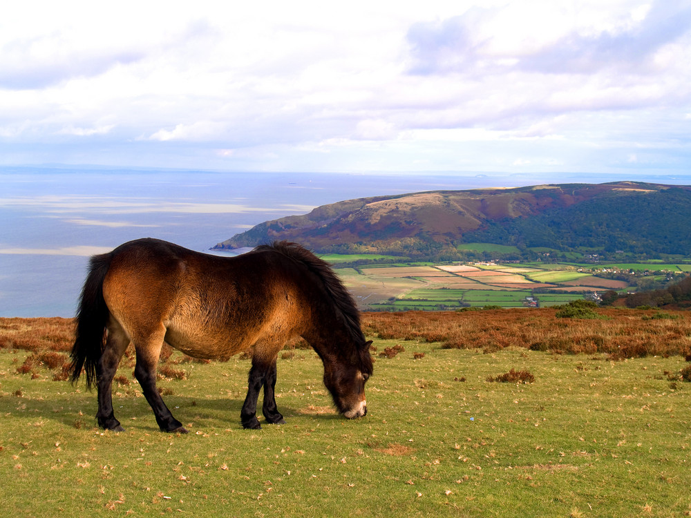 Exmoor National park