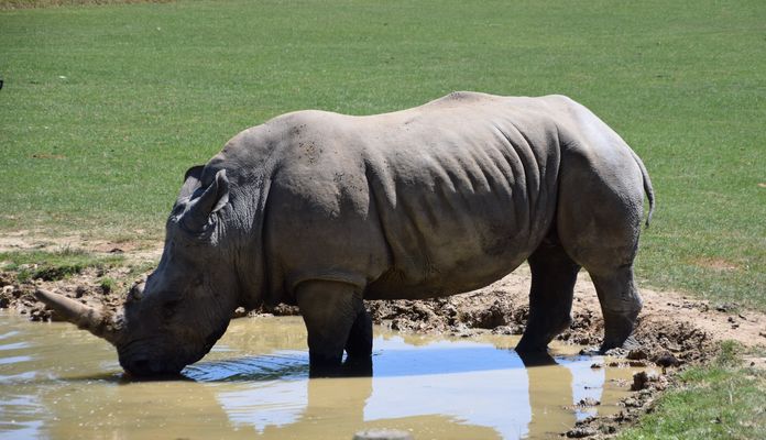 exo n°11 commençant par BO