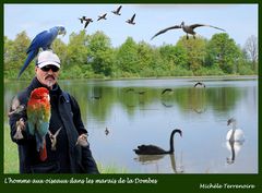 Exo_71 L'homme aux oiseaux