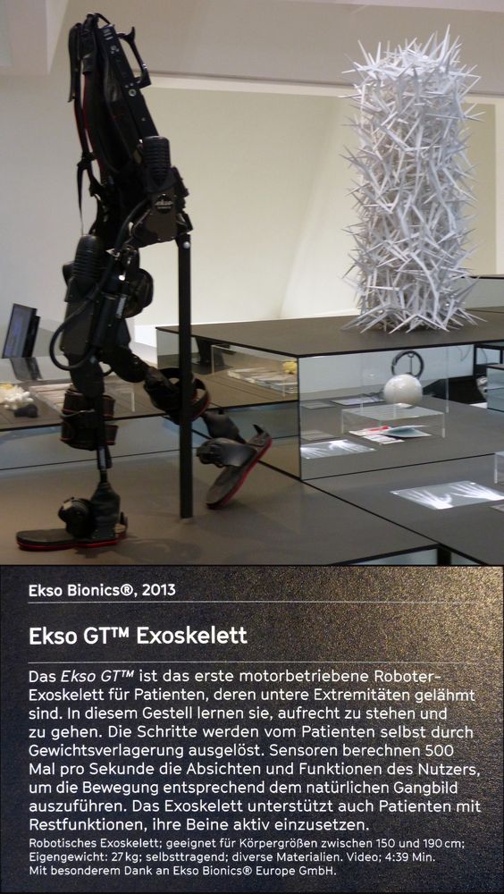 Exoskelett