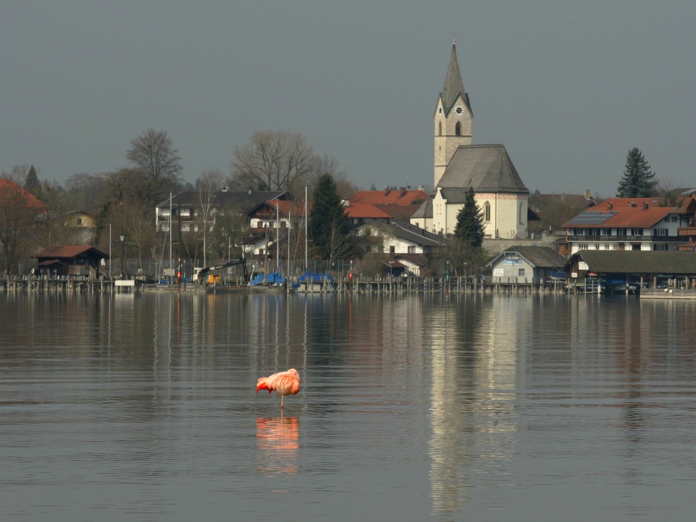 Exot am Chiemsee