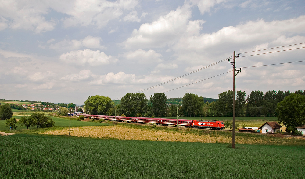 Exoten aus Wolfsburg im Kraichgau 2