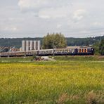 Exoten aus Wolfsburg im Kraichgau