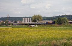 Exoten aus Wolfsburg im Kraichgau