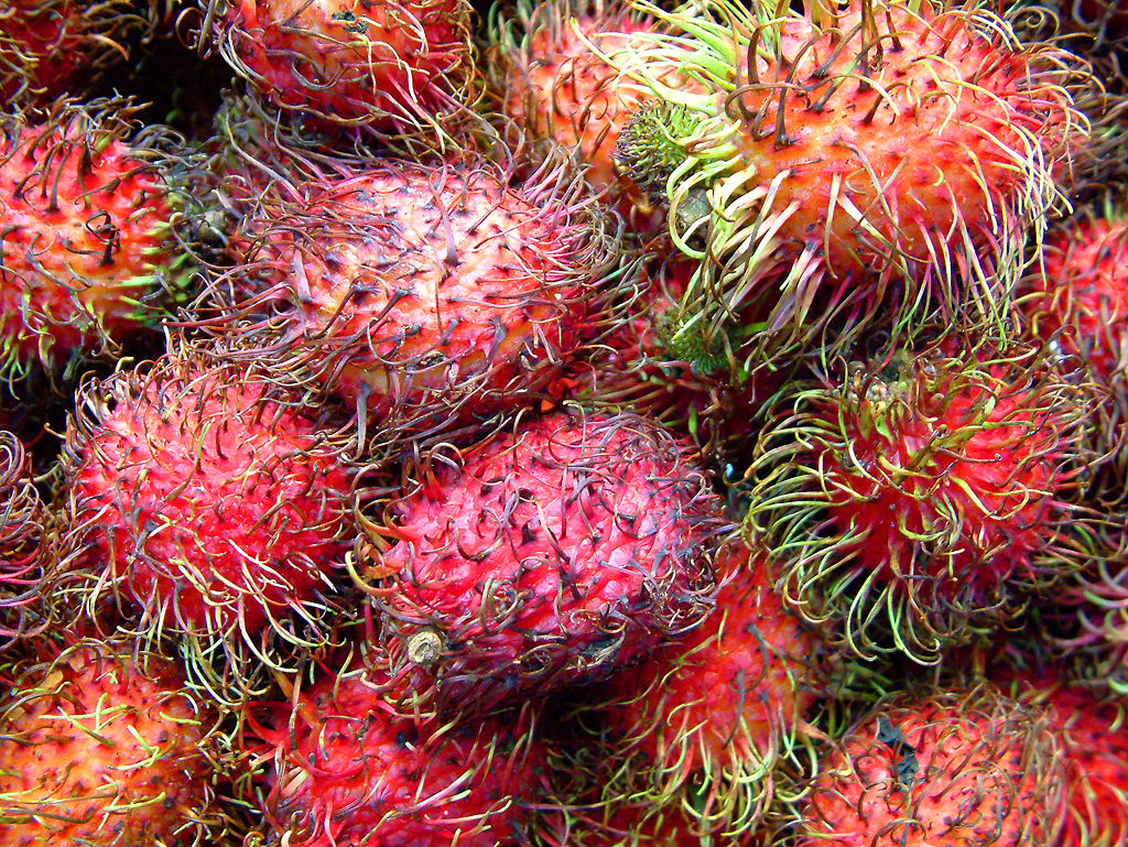 Exotic Fruits