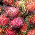 Exotic Fruits