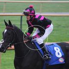 Exotic Rose und Vinzenz Schiergen beim Aufgalopp