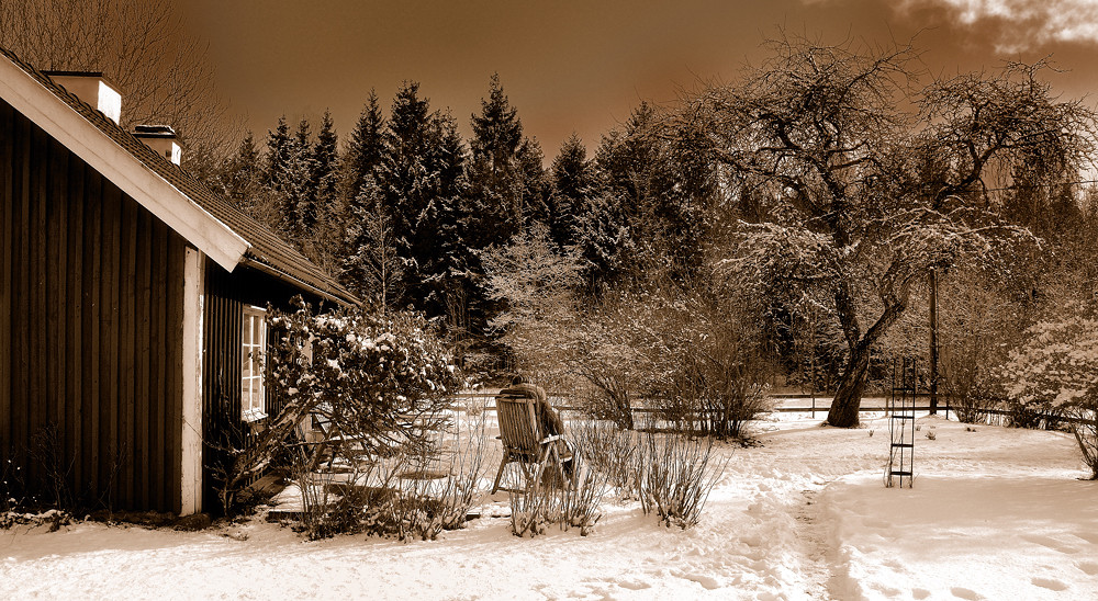 Exotic winter day at the summer cottage