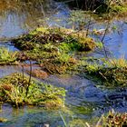 Exotische Wasserwelten 2