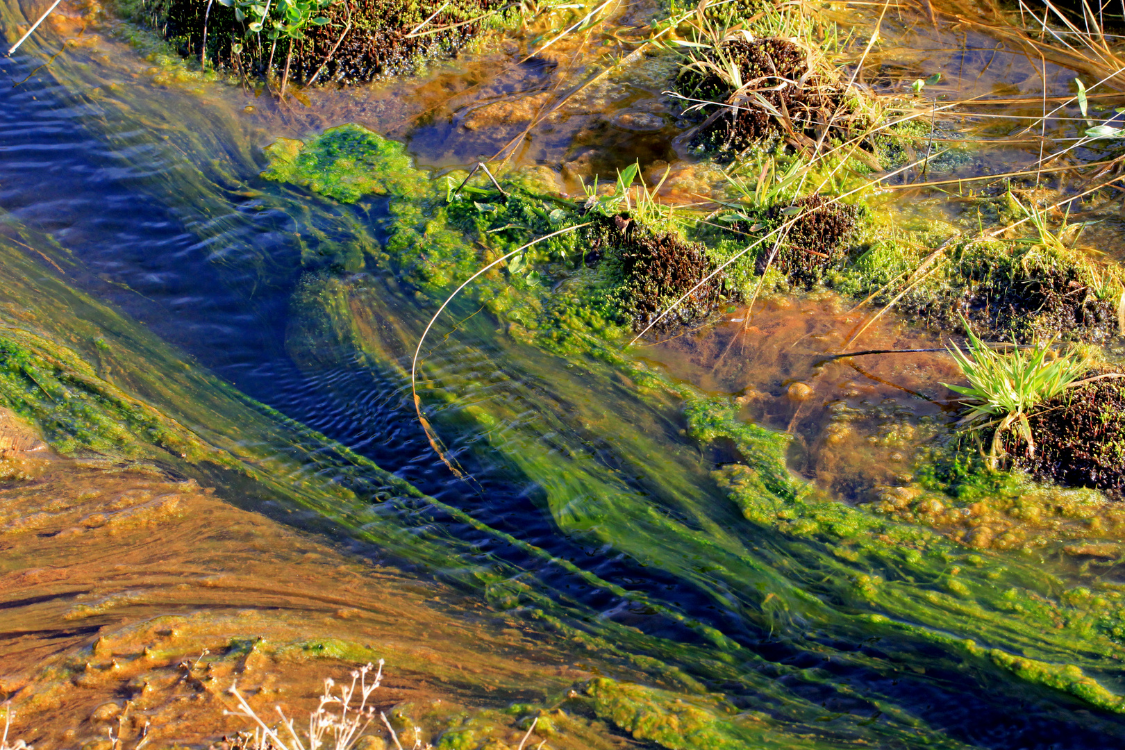 Exotische Wasserwelten 3