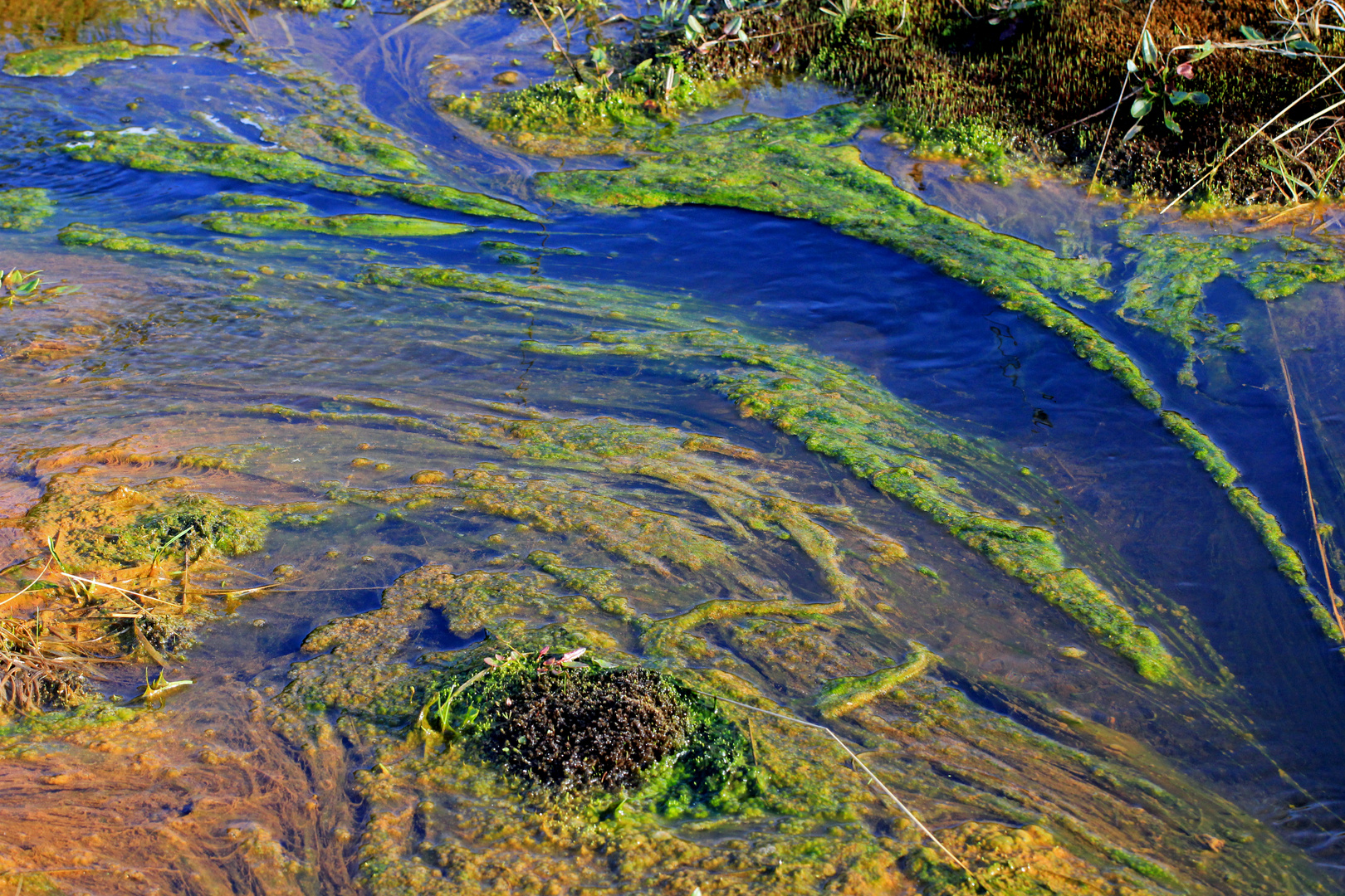 Exotische Wasserwelten 4