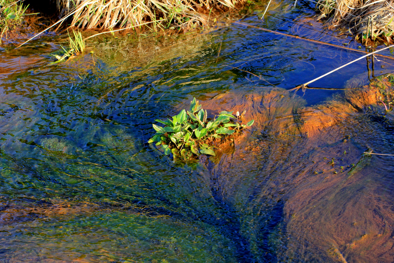 Exotische Wasserwelten 7