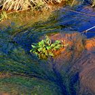 Exotische Wasserwelten 7