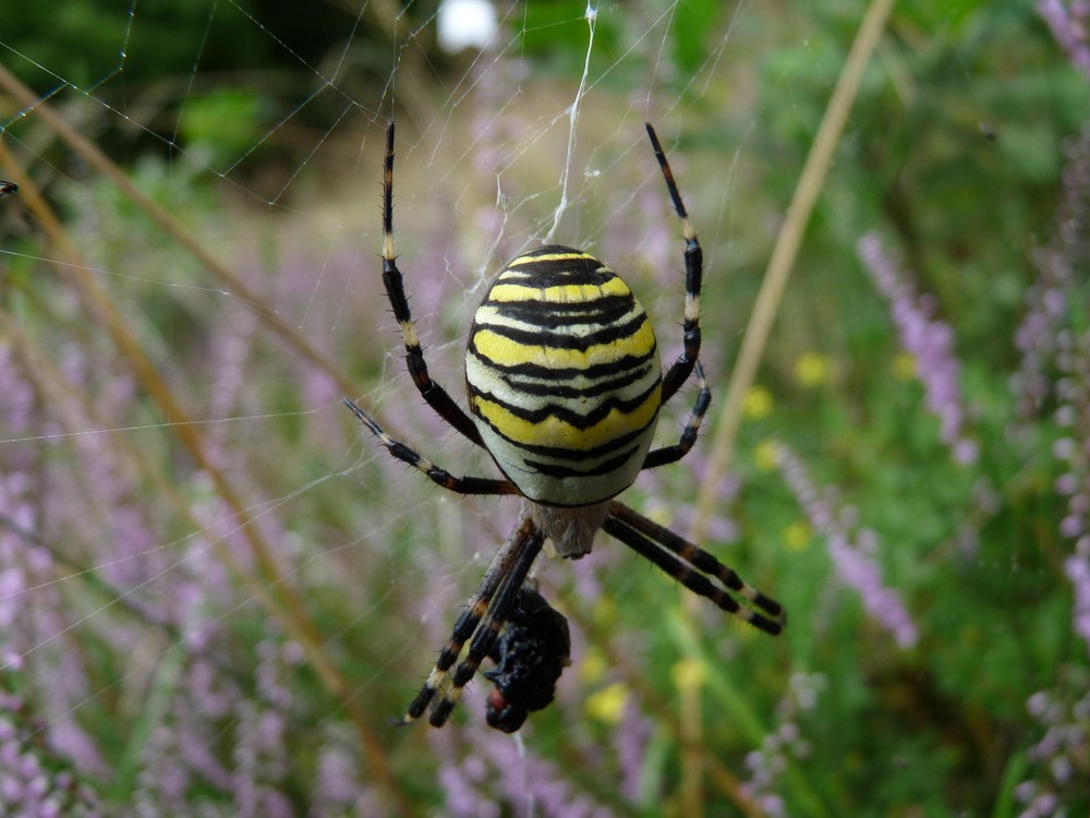 Exotischer Besuch